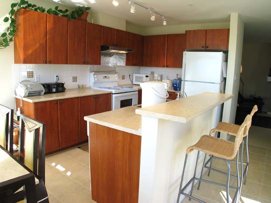 Spacious 2 Bedrooms Apartment in Champlain Village