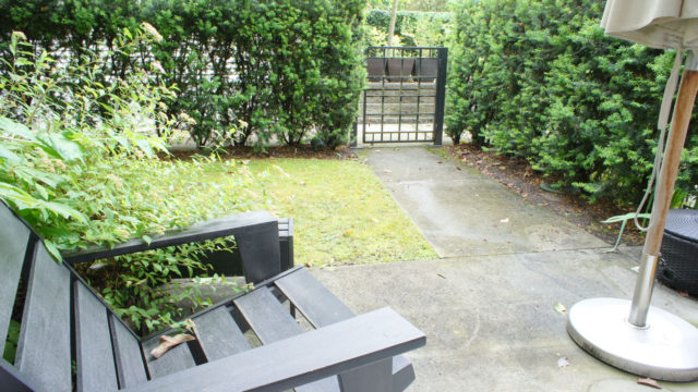 Fenced Backyard and Patio