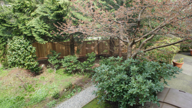 View of the Garden